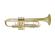Wisemann Standard Bb Trumpet DTR-250