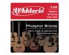 D'Addario Phosphor Bronze 12 String 12-52 Medium - EJ39