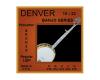 Denver 5 String Banjo Set Phosphor Bronze