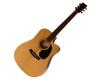 Braidwood BR-03DME Solid Sitka Spruce Top Acoustic Braidwood BR-03DME Solid Sitka Spruce Top Acoustic