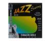 Thomastik-Infeld Jazz Swing Flatwound JS112 - 12-50 Medium Light