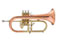 Flugel Horn