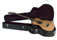 Cases Acoustic Bass