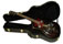 Cases Resonator Guitar