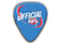 AFL Guitar Picks