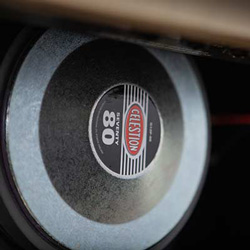 12 Inch iconic British Celestion loudspeaker