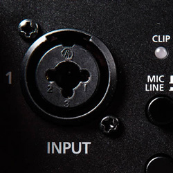 Blackstar Super Fly 2 Channel Inputs