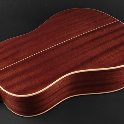 Cort 100SS Mahogany Back & Sides