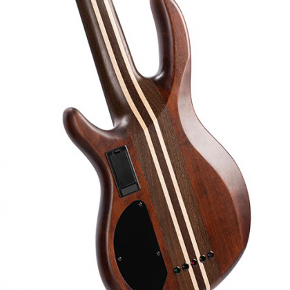 Cort A5 Ultra Neck-Thru Body Construction