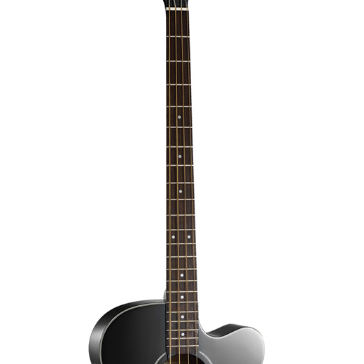 Cort AB850F Acoustic Bass 34 inch Scale