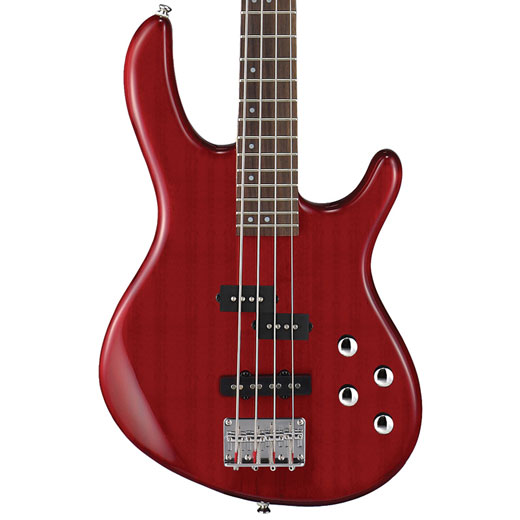 Cort Action 5 String Bass Ergonomic Body Design