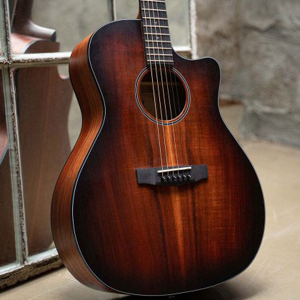 Cort Core-GA All Solid Blackwood Model