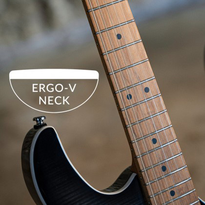 Cort G290 Fat II Ergo-V Neck Profile