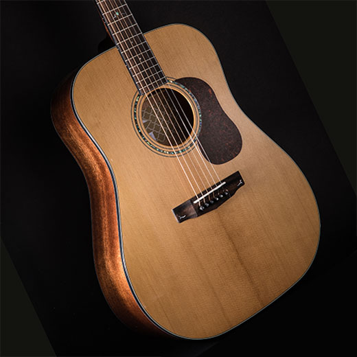 Cort Gold-D6 Dreanought Solid Sitka Spruce Top