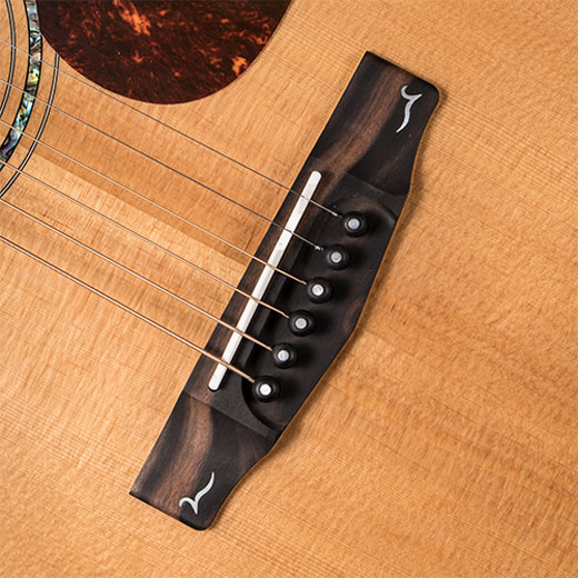 Cort Gold D6 Ebony Bridge Pins