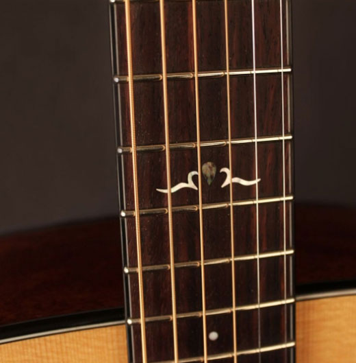 Cort Gold D6 Macassar Ebony Fingerboard