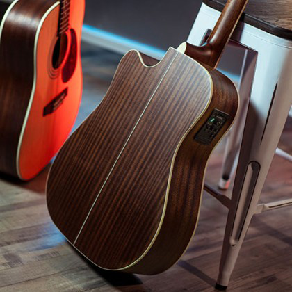 Cort L710F Mahogany Back & Sides