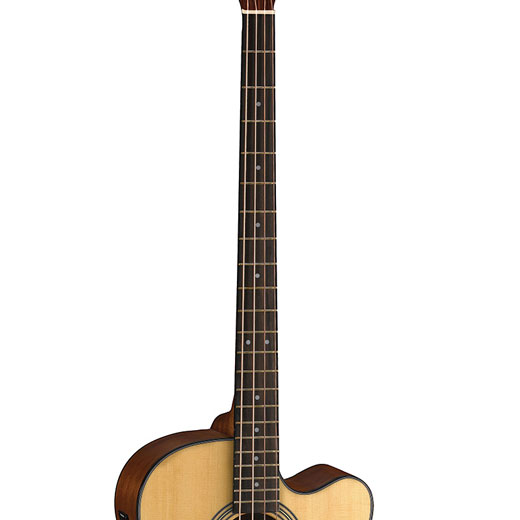 Cort SJB5F 34" Scale Acoustic Bass Guitar
