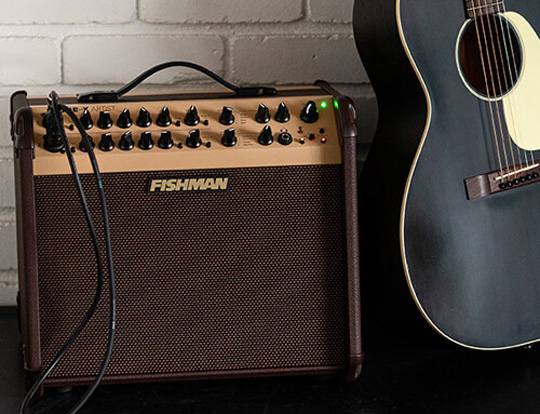 Fishman Loudbox Artist Instrument & Mic Channels