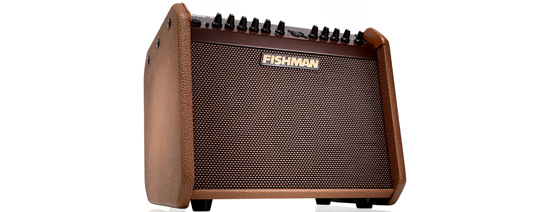 Fishman Loudbox Mini Charge with rechargeable Battery