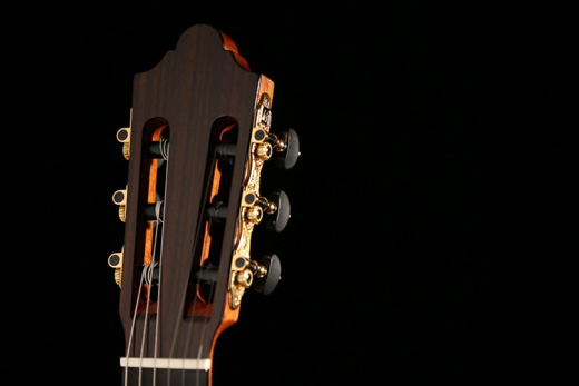 Katoh DF69 Headstock & Martinez Gold Tuners