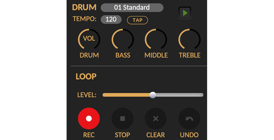 Amp Academy Drum & Loop Functions