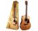 Cort Earth 70 Acoustic Guitar Pack