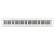 Casio CDPS110 Digital Piano White