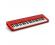Casiotone CTS1 61 Note Keyboard