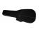 Lightweight Case for Acoustic Guitar