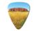 Australian Series Guitar Pick - Ayers Rock