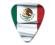 World Country Series - Mexico - Photo Flag Pick