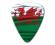 World Country Series - Wales - Photo Flag Pick