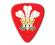 World Country Series - Wales - Prince of Wales Feathers