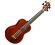 Eddy Finn EBass Acoustic Electric Bass Ukulele