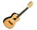 Eddy Finn EF-21C Bamboo Concert Ukulele