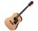 Aria Acoustic Dreadnought Guitar Natural Satin Finish