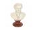 Musicians & Composers Bust - Chopin 22cm