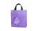 Music Carry Bag Tall Purple Piano