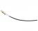 Double Bass Tailpiece Gut
