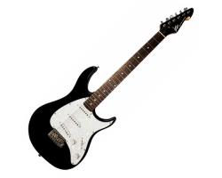 Peavey Raptor Custom Electric Guitar in Black