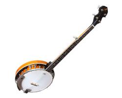 J.Reynolds Deluxe 5-String Banjo 24 Bracket Tobacco Burst