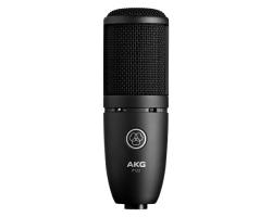 AKG P120 Condenser Microphone