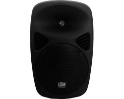 Leem SPP-10 Passive 120W 2-Way 10" PA Speaker