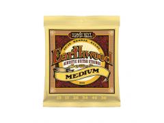 Ernie Ball Earthwood 80/20 - 13/56 Medium 2002