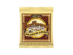 Ernie Ball Earthwood 80/20 - 12/54  Medium Light 2003