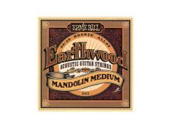 Ernie Ball Mandolin Earthwood 80/20 - 10/36 Medium 2065