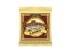 Ernie Ball Earthwood 80/20 - 11/52 Light 2004