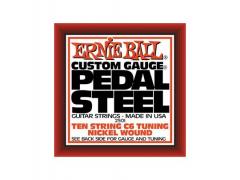 Ernie Ball Pedal Steel 10 String C6 Tuning - 12/66 2501