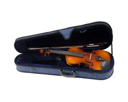 Raggetti RV2 Student Violin Outfit